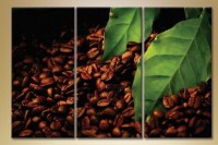 Pictură Magic Color Triptych Coffee Beans (1547222)