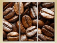 Pictură Magic Color Triptych Coffee beans (2698703)
