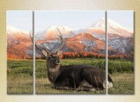 Pictură Magic Color Triptych Deer in the mountains (2698992)