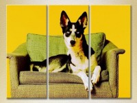 Картина Magic Color Triptych Dog on an armchair 02 (2699020)