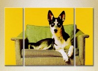 Pictură Magic Color Triptych Dog on the armchair (2699021)