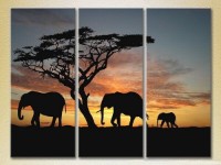 Pictură Magic Color Triptych Elephants Sunset in Africa 01 (2699005)