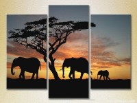 Pictură Magic Color Triptych Elephants, sunset in Africa (2699004)