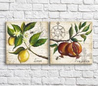 Картина ArtPoster Pomegranate and lemon oil on the background of bees and text (3478726)