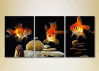 Pictură Magic Color Triptych Goldfish (2698975)