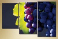 Pictură Magic Color Triptych Grapes (1547215)
