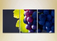 Pictură Magic Color Triptych Grapes Lydia (2698708)