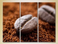 Pictură Magic Color Triptych Ground coffee and beans (2698678)