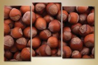 Pictură Magic Color Triptych Hazelnut (1547274)