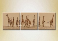 Pictură Magic Color Triptych Herd of giraffes (2699008)