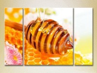 Pictură Magic Color Triptych Honey in the honeycomb (2698672)
