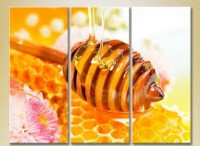 Pictură Magic Color Triptych Honey in the honeycomb (2698673)