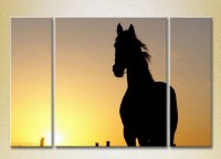 Pictură Magic Color Triptych Horse silhouette at sunset (2699003)