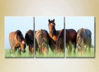 Pictură Magic Color Triptych Horses in the Field (2698985)