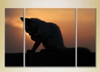 Pictură Magic Color Triptych Kitten at Sunset (2698978)