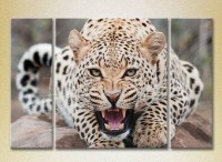 Pictură Magic Color Triptych Leopard (2698984)
