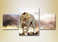 Pictură Magic Color Triptych Leopard on a log (2698982)