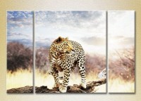 Pictură Magic Color Triptych Leopard on a Log 01 (2698998)