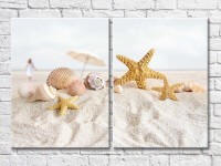Картина ArtPoster Seashells and starfish in the sand (3453799)
