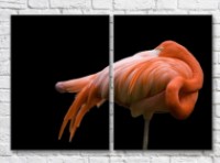 Pictură ArtPoster Standing flamingo on a Black background (3451165)