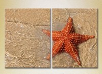 Картина ArtPoster Starfish on the shore 01 (2164422)