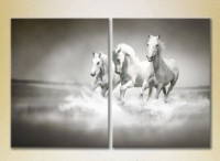 Pictură ArtPoster Three White horses 02 (2602975)
