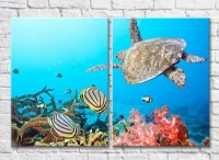 Pictură ArtPoster Turtle and fish (3453817)
