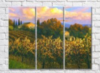 Картина ArtPoster Vineyards in the Hills (3470935)