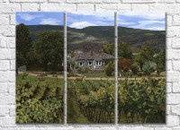 Картина ArtPoster Vineyards in the Hills (3470939)