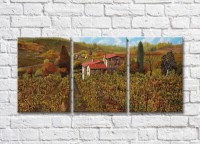 Картина ArtPoster Vineyards in the Hills (3470964)
