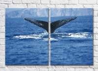 Pictură ArtPoster Whale tail over water (3453826)