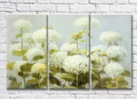 Pictură ArtPoster White hydrangea (3572577)