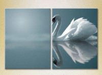 Картина ArtPoster White swan (2602995)