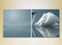 Pictură ArtPoster White swan 01 (2602981)