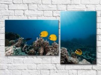Картина ArtPoster Yellow fish swimming in the sea (3453837)