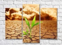 Pictură Rainbow A Green Sprout Breaking Through the Dry Ground (71499)