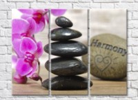 Картина Rainbow Arrangement of stones and purple orchids (500328)