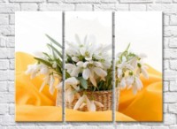 Картина Rainbow Basket with snowdrops on a yellow background (500332)