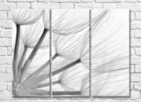 Картина Rainbow Black & White Dandelion Petals (500834)