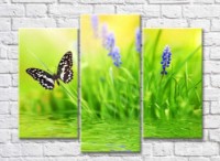 Pictură Rainbow Black butterfly above water on a Green background with flowers (500833)