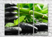 Pictură Rainbow Black stones and bamboo (500836)