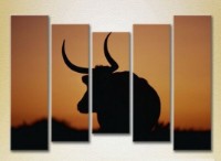 Картина Rainbow Buffalo Polyptych (2224623)
