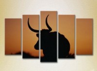 Картина Rainbow Buffalo Polyptych 01 (2224621)