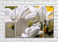 Pictură Rainbow Chamomile petals and large dew drop (500431)