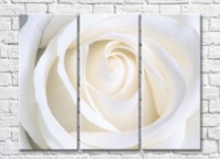 Картина Rainbow Cream Rose Petals (500429)