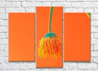 Pictură Rainbow Dandelion flower facing down on orange background (500480)