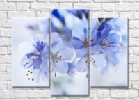 Картина Rainbow Delicate blue flowers with orange stamens (500456)