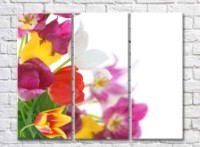 Картина Rainbow Delicate bouquet of multicolored tulips (500464)