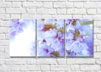 Pictură Rainbow Delicate lilac flowers on a light background (500457)
