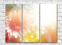 Pictură Rainbow Delicate pink flower on a colorful background (500465)